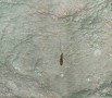 Pećina izvora Mokranjske Miljacke